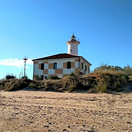 Agavi 16 * Μπιμπιόνε