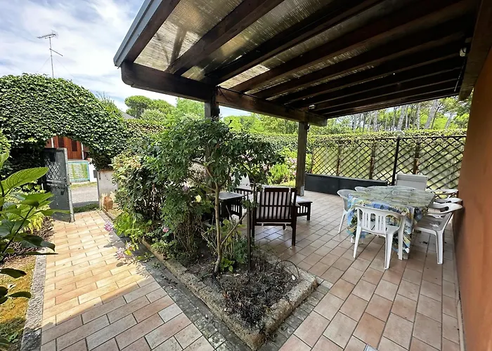 Agavi 16 بيبيوني